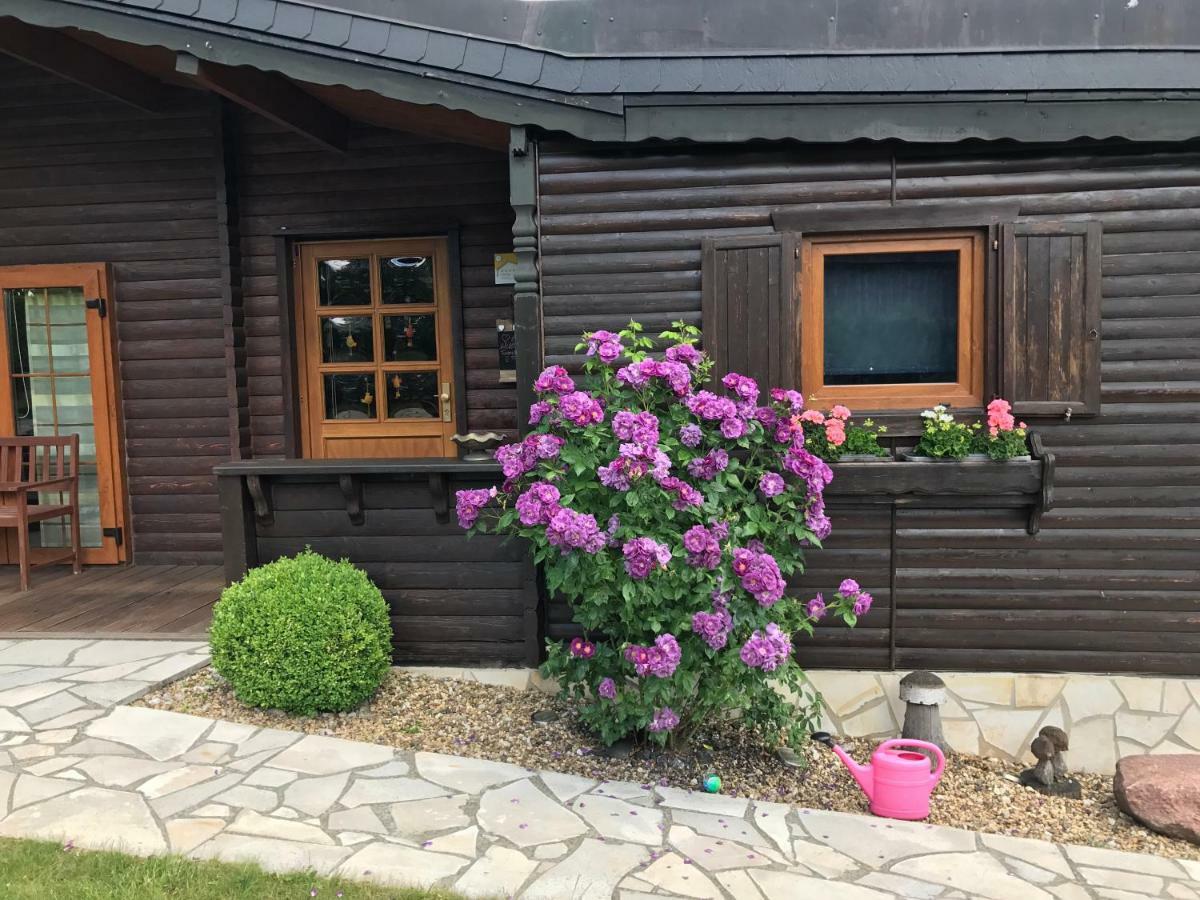 Villa Holzhaus Harz Schielo Exterior foto